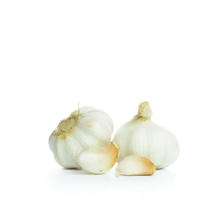 Organic Garlic