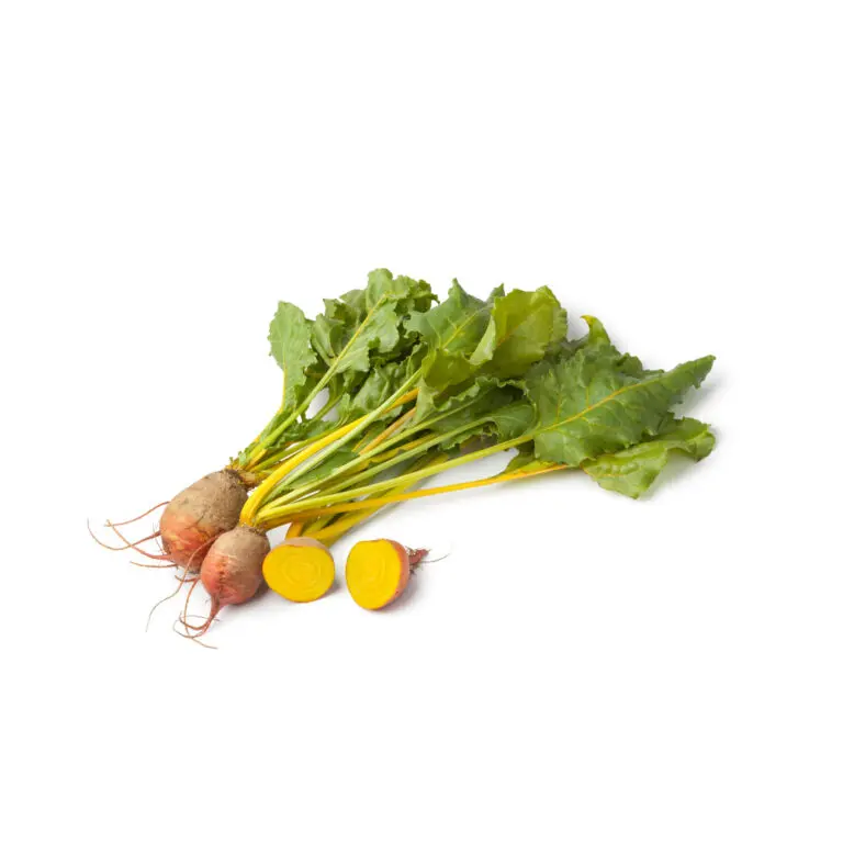 Organic Gold Beetroot