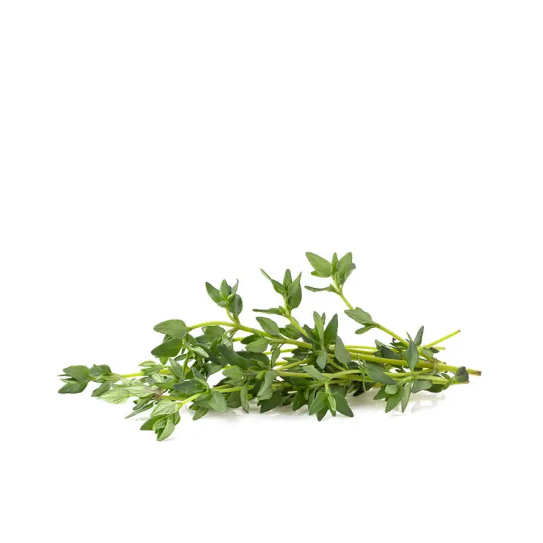 Organic Thyme