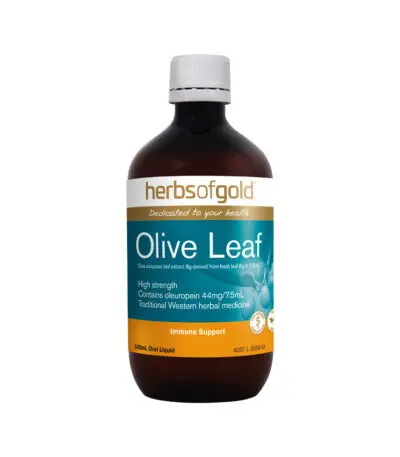 Herbs of Gold - Olive Leaf 500mls