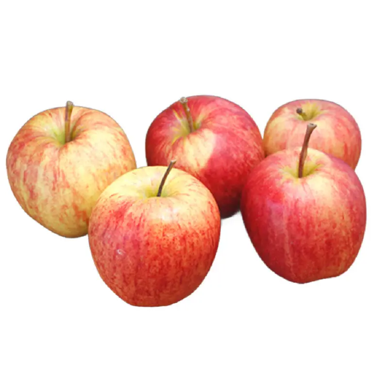 Organic Apples - Southern Bliss - 1.5kg