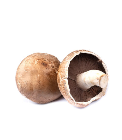 Organic Flat Mushrooms