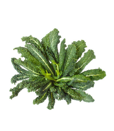 Organic Kale Black