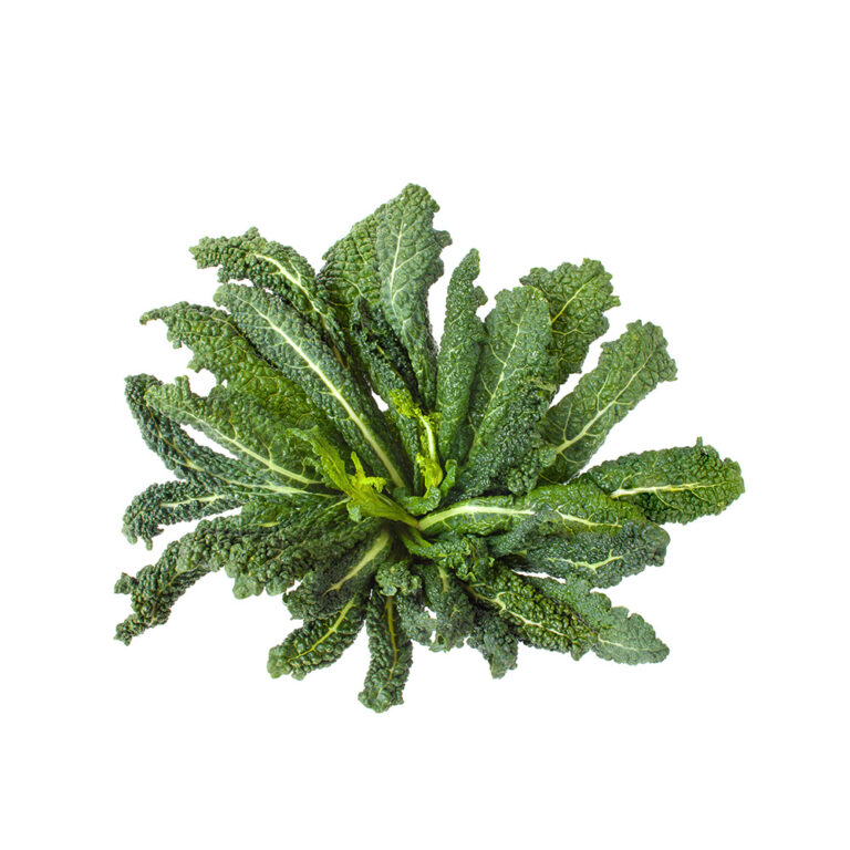Organic Kale Black