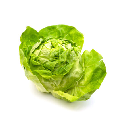 Organic Lettuce