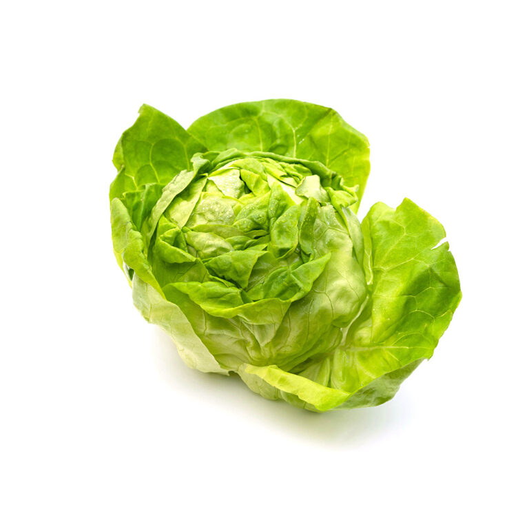 Organic Lettuce
