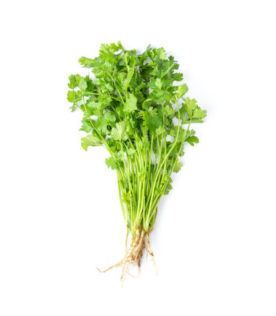 Organic Coriander