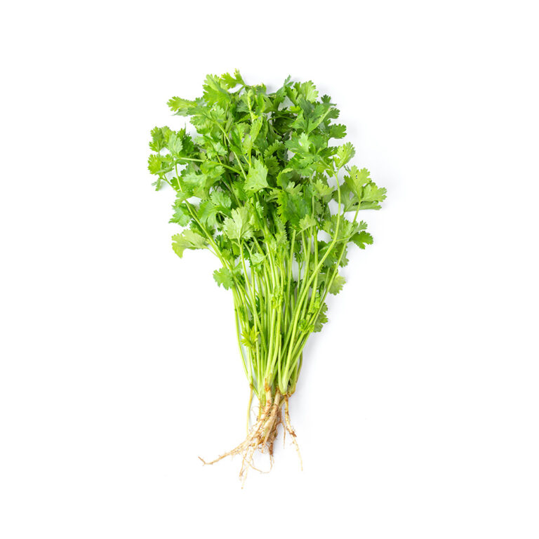 Organic Coriander