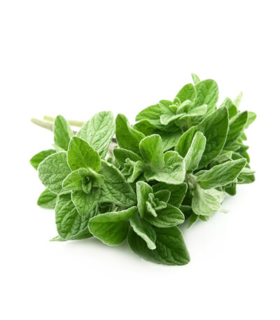 Organic Oregano