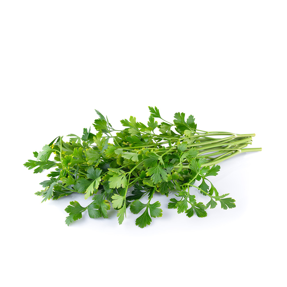 Organic Parsley Organic Parsley