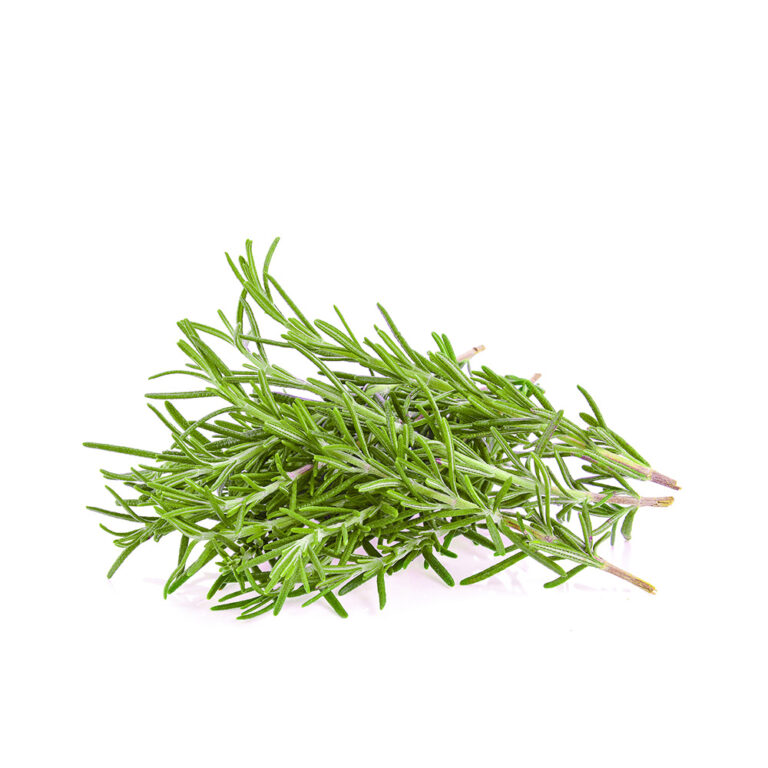 Organic Rosemary