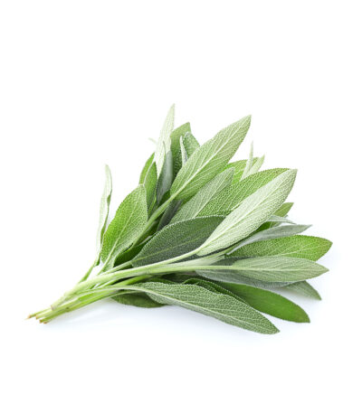 Organic Sage
