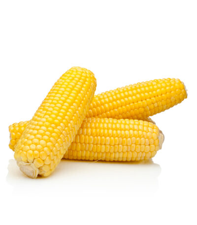 Organic Sweet Corn