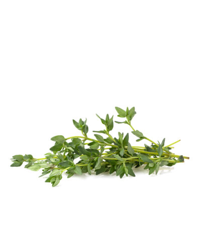 Organic Thyme