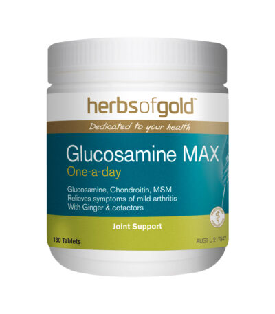Herbs of Gold - Glucosamine MAX 160 tablets