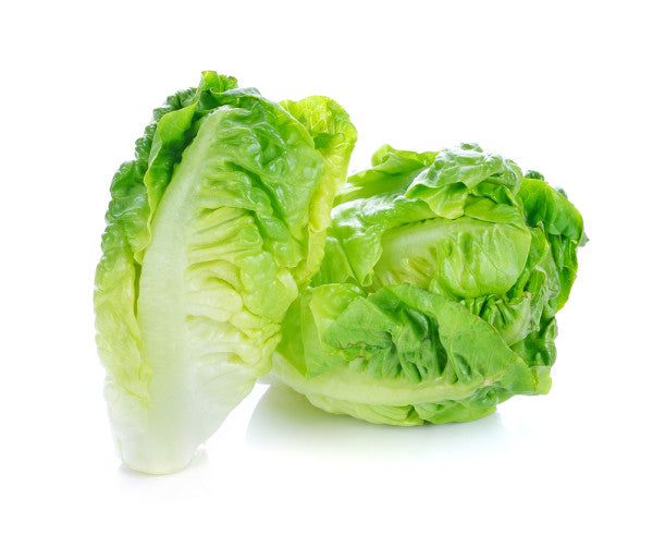 Cos Lettuce