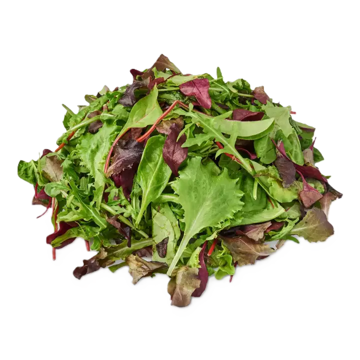 Organic Salad - Mesculan - 100g